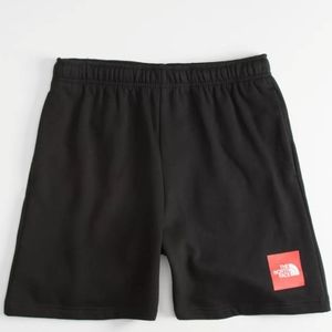 North face never stop shorts